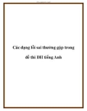 Các dạng lỗi sai thường gặp trong đề thi ĐH tiếng Anh