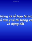 Tải trọng và tổ hợp tải trọng - một số lưu ý về tải trọng va màu và động đất