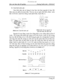 Quá trình hình thành giai đoạn xử lý nước thải sinh hoạt part7