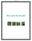 Rèm xanh cho nhà phố