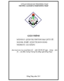 Giáo trình Quản trị thương mại quốc tế (Nghề: Quản trị bán hàng - Cao đẳng) - Trường Cao đẳng nghề Đồng Tháp