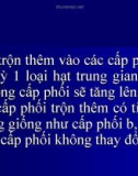 Bài giảng xây dựng mặt đường ôtô 3 P4