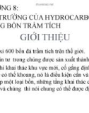 Bài giảng Địa chất dầu khí - Chương 8: Môi trường của hydrocarbon trong bồn trầm tích