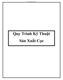 Quy Trình Kỹ Thuật Sản Xuất Cọc