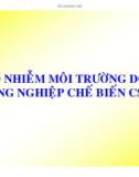 Bài giảng môn Công nghệ cao su: Ô nhiễm môi trường do công nghiệp chế biến cao su thiên nhiên