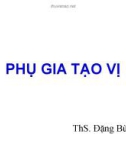 Bài giảng Phụ gia thực phẩm: Phụ gia tạo vị - ThS. Đặng Bùi Khuê