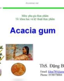 Bài giảng Phụ gia thực phẩm: Acacia gum - ThS. Đặng Bùi Khuê