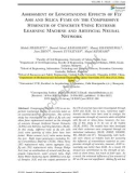 Assessment of longstanding effects of fly ash and silica fume on the compressive strength of concrete using extreme learning machine and artificial neural network