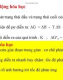 BÀI GIẢNG ĐỘNG HÓA HỌC