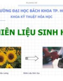 Bài giảng nhiên liệu sinh học - Giới thiệu