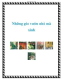 Những góc vườn nhỏ mà xinh