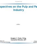 Perspectives on the Pulp and Paper Industry