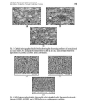 Heat Transfer Engineering Applications Part 12