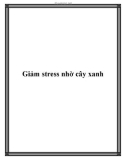 Giảm stress nhờ cây xanh