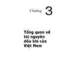 Địa chất Và tài nguyên dầu khí Việt Nam - Chương 3