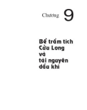 Địa chất và tài nguyên dầu khí Việt Nam - Chương 9