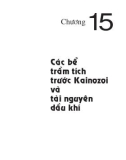 Địa chất và tài nguyên dầu khí Việt Nam - Chương 15