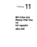 Địa chất và tài nguyên dầu khí Việt Nam - Chương 11