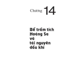 Địa chất và tài nguyên dầu khí Việt Nam - Chương 14