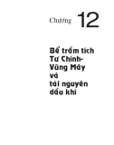 Địa chất và tài nguyên dầu khí Việt Nam - Chương 12