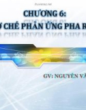 CHƯƠNG 6: CƠ CHẾ PHẢN ỨNG PHA RẮN