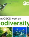 Recent OECD work on Biodiversity