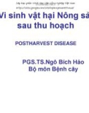 Bài giảng Vi sinh vật hại nông sản sau thu hoạch: Chương 1 - PGS.TS. Ngô Bích Hảo