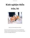 Kinh nghiệm thiến trâu, bò