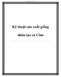 Kỹ thuật sản xuất giống nhân tạo cá Còm