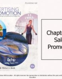 Lecture Advertising and promotion: An integrated marketing communications perspective (10/e): Chapter 16 - George E. Belch, Michael A. Belch