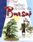 Kỹ thuật trồng và uốn tỉa cây bonsai