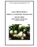 Giáo trình Trồng và chăm sóc thanh long - MĐ03: Trồng thanh long