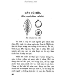 Trồng, chăm sóc và phòng trừ sâu bệnh xoài, vú sữa, sapô, dừa - Bác sĩ cây trồng quyển 14: Phần 2