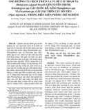 Ảnh hưởng của dịch trích lá và rễ cây tràm ta (Melaleuca cajuputi powell) lên tuyến trùng Meloidogyne spp. gây bướu rễ, nấm Phytophthora spp. và Fusarium spp. gây hại trên cây hồ tiêu (Piper nigrum L.) trong điều kiện phòng thí nghiệm