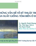 Những vấn đề kỹ thuật trong sản xuất giống tôm biển ở ĐBSCL