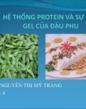 Bài thuyết trình: Hệ thống Protein và sự tạo gel của đậu phụ