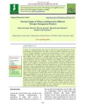 Nutrient studies of wheat as influenced by different nitrogen management practices