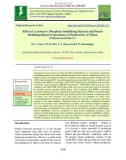 Effect of azotobacter, phosphate solubilising bacteria and potash mobilising bacteria inoculants on productivity of wheat (Triticum aestivum L.)