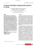 A beads-based biofertilizer containing Bacillus megaterium for cabbage