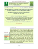 The effect of different levels of zinc on morpho-physiological parameters, seed yield attributing characters and seed quality of wheat