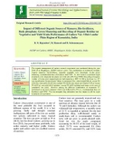 Impact of Different Organic Source of Manures, Bio-fertilizers, Rock phosphate, Green Manuring and Recycling of organic residue on vegetative and yield traits performance of cashew var. ullal-1 under Plain region of Karnataka, India