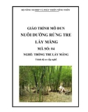 Giáo trình Nuôi dưỡng rừng tre lấy măng - MĐ04: Trồng tre lấy măng