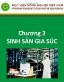 Bài giảng Nhập môn chăn nuôi - Chương 3: Sinh sản gia súc