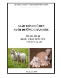 Giáo trình Nuôi dưỡng chăm sóc - MĐ04: Chăn nuôi cừu