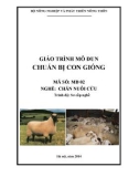 Giáo trình Chuẩn bị con giống - MĐ02: Chăn nuôi cừu