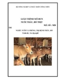 Giáo trình Nuôi trâu, bò thịt - MĐ04: Chăn nuôi và phòng trị bệnh cho trâu bò