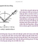 Bài giảng nguyên lý cắt gọt gỗ : Lý luận chung quá trình cắt gỗ part 9