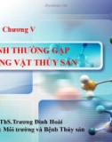 Bài giảng Bệnh học thủy sản: Chương 5.4 - Ths. Trương Đình Hoài