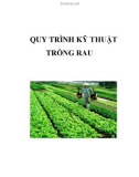 QUY TRÌNH KỸ THUẬT TRỒNG RAU