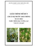 Giáo trình Chuẩn bị trước gieo trồng - MĐ01: Trồng đậu tương, lạc